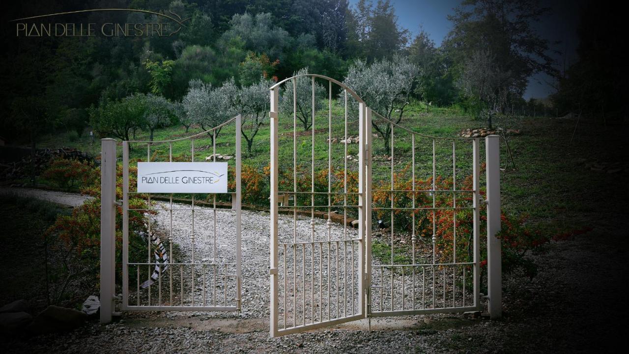 Glamping Pian Delle Ginestre Hotel Sassetta Buitenkant foto